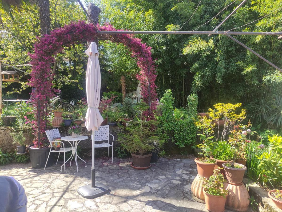 Apartment Valenta بوريتش المظهر الخارجي الصورة