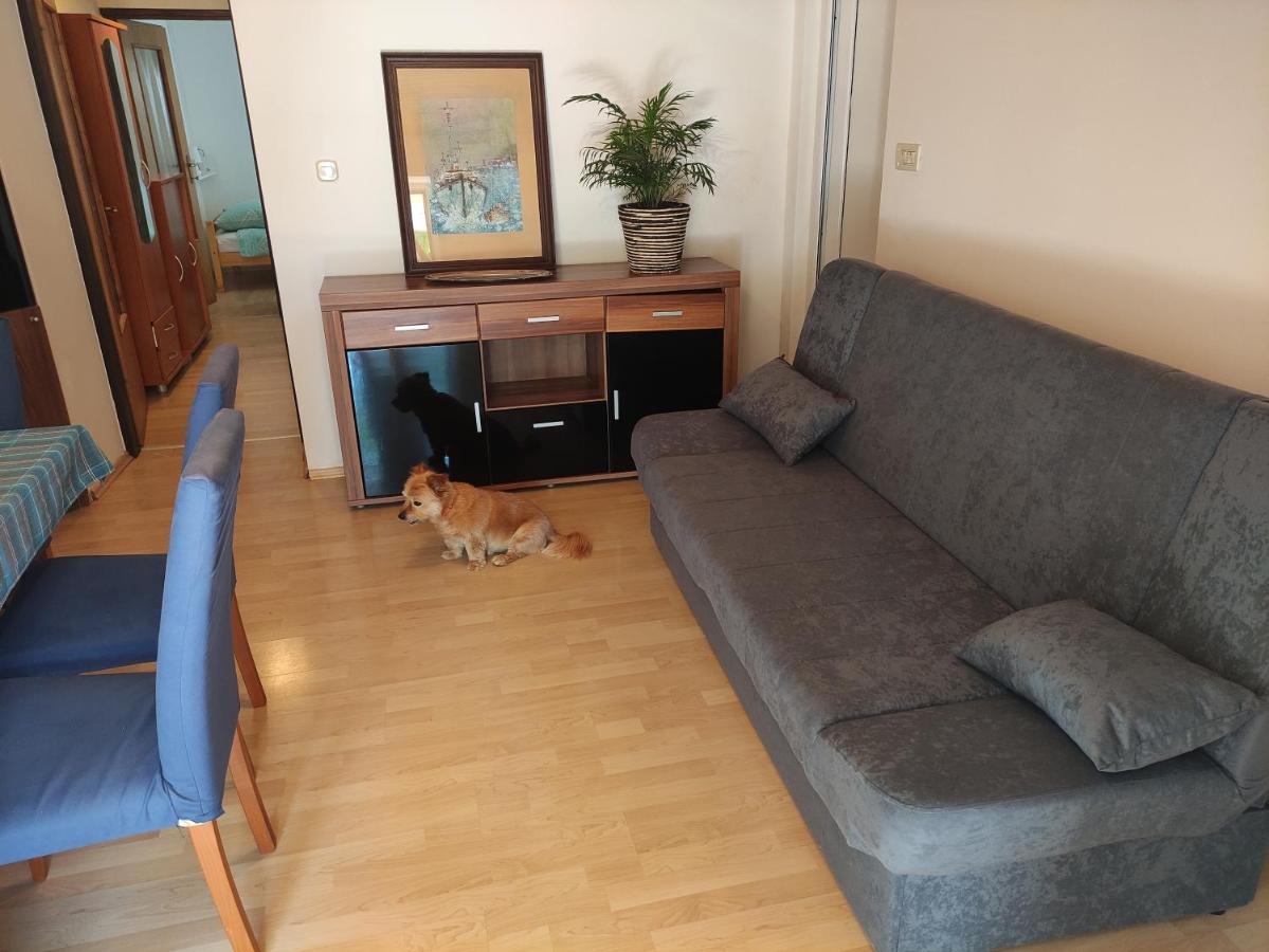 Apartment Valenta بوريتش المظهر الخارجي الصورة